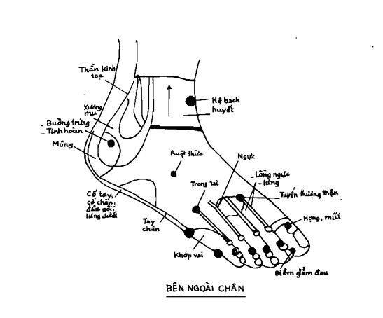 z5159745912837_5fe4a6b106e4130faffe006af611b794.jpg