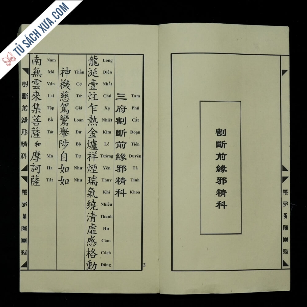 tam-phu-giai-co-than-qua-tu-sn-0006