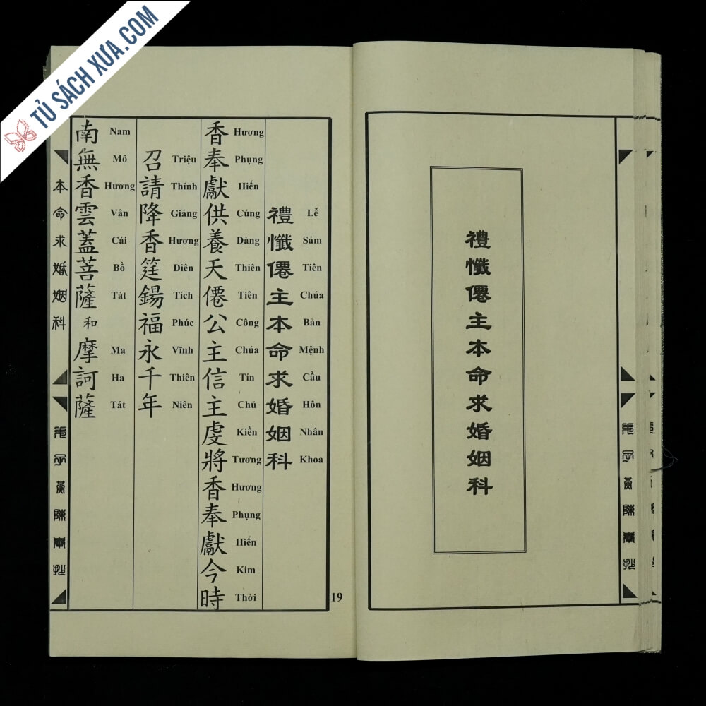 tam-phu-giai-co-than-qua-tu-sn-0009